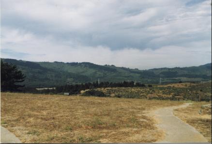 On the way to Half Moon Bay