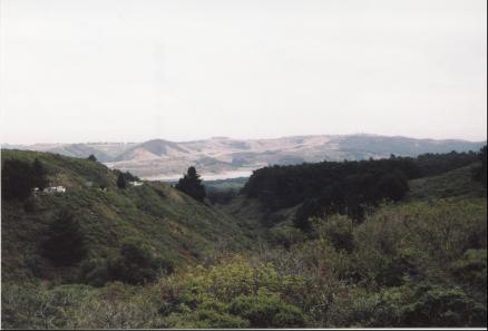 Further on the way to Half Moon Bay