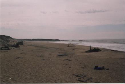 South of Half Moon Bay