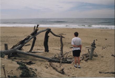 South of Half Moon Bay