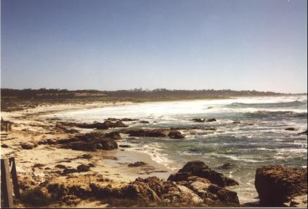 Coast near Santa Cruz