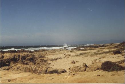 Coast near Santa Cruz