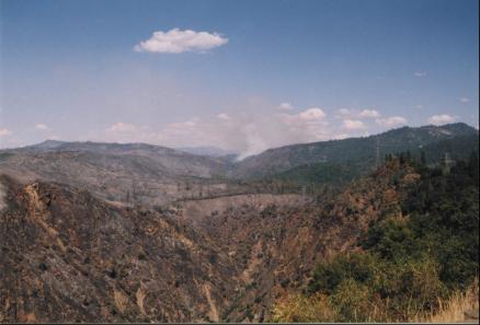 Inside Yosemite National Park