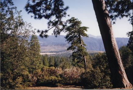 Inside Yosemite National Park