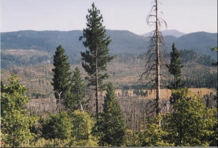 Inside Yosemite National Park