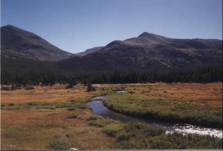 A stream running through the meadow