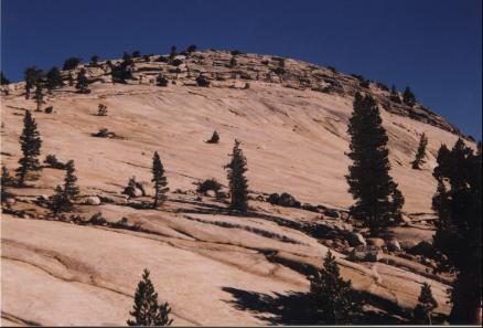 Inside Yosemite National Park