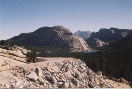 Inside Yosemite National Park