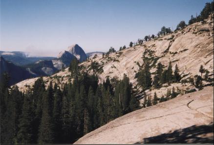 Inside Yosemite National Park