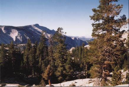 Inside Yosemite National Park