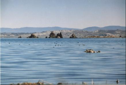 Mono Lake