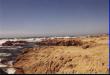 Coast near Santa Cruz