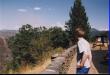 Inside Yosemite National Park