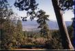 Inside Yosemite National Park