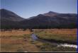 A stream running through the meadow