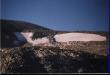 Snow on the mountain