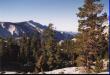 Inside Yosemite National Park