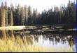 Inside Yosemite National Park