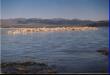 Mono Lake