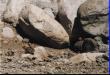 Looking at rocks